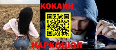гидра Бердск