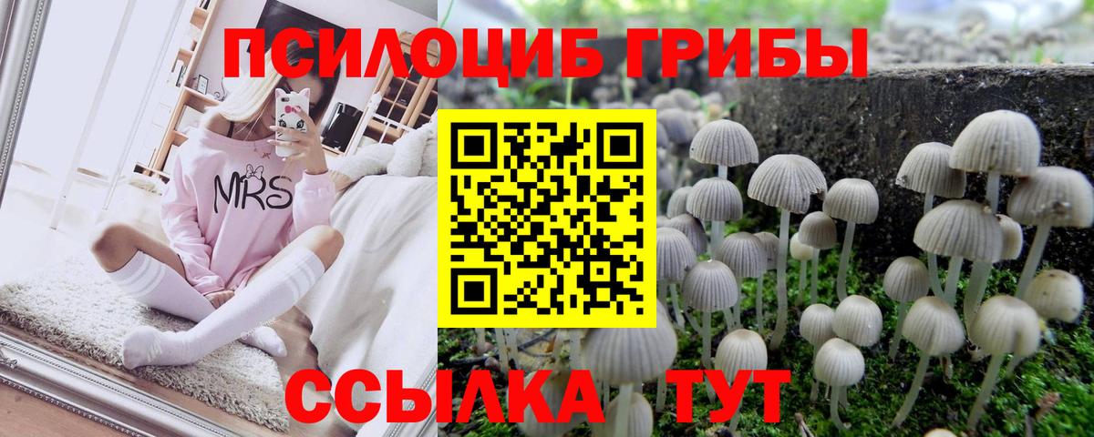 Галлюциногенные грибы Magic Shrooms Батайск